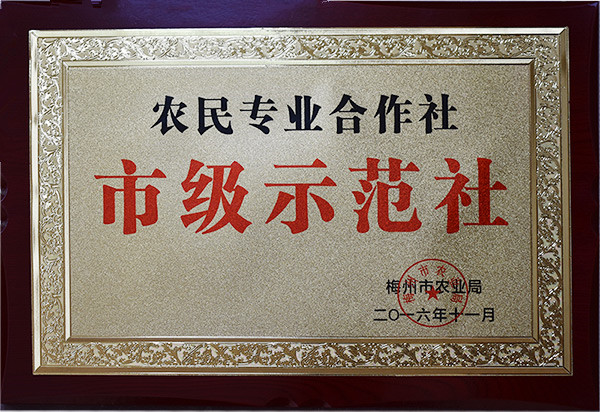 農民專業(yè)合作社市級示范社